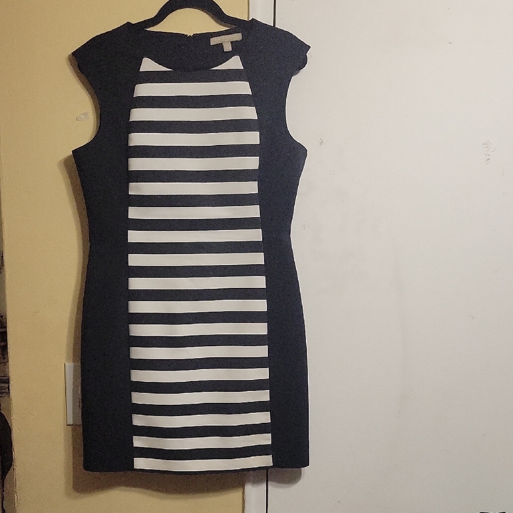 Banana Republic Black and White Striped Mini Dress Size 12P
